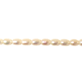 6x5mm; Rice, Fresh Water Pearl - 1 Strand