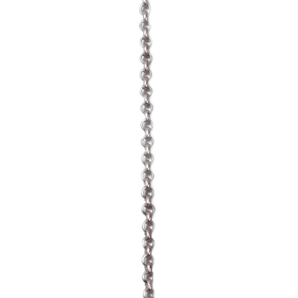 Brass Rolo Chain, Rhodium, 2mm; 1 foot