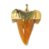 Gold Agate Shark Tooth Pendant, Sun Yellow, 45x37mm; 1 piece
