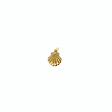 Shell Charm, Gold Filled, 12x10mm; 1 piece