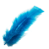 Blue Feathers, 14 grams;1 bag