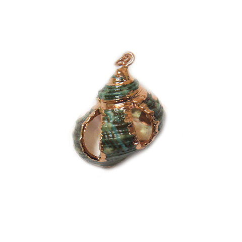 Green Shell Pendant - Gold