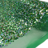 Abby,Sequins, Green, 54" Wide- 1 Yard