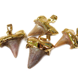 Cream Shark Tooth Pendant, Gold, 29x19mm - 1 piece