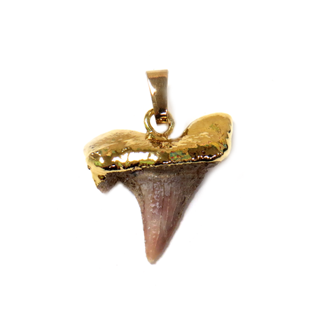Cream Shark Tooth Pendant, Gold, 29x19mm - 1 piece