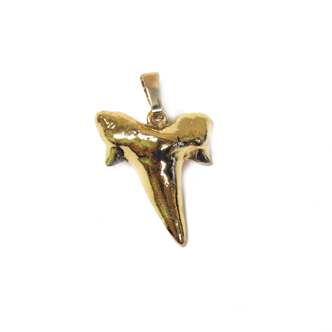 Shark Tooth Pendant, Gold Plated Brass - 1 piece