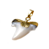 White Shark Tooth Pendant, Gold, 26x33mm - 1 piece