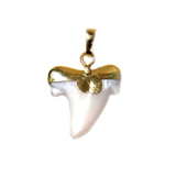 White Shark Tooth Pendant, Gold, 26x33mm - 1 piece