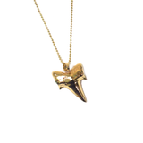 Shark Tooth Pendant, Gold Plated Brass - 1 piece