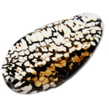Snake Agate Bead, Brown with White, 48x25mm; 1 piece