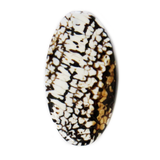 Snake Agate Bead, Brown with White, 48x25mm; 1 piece