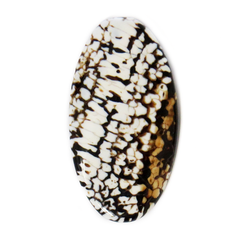 Snake Agate Bead, Brown with White, 48x25mm; 1 piece